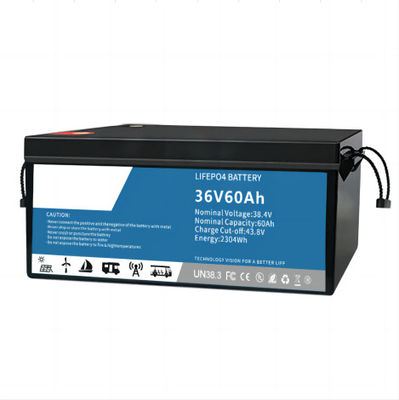Батарея IP55 фосфорнокислого железа лития Multiscene EV делает водостойким с BMS
